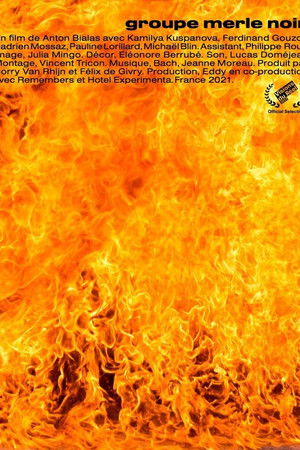 The Blackbird Group The Blackbird Group