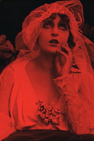 The Railway Owner The Railway Owner