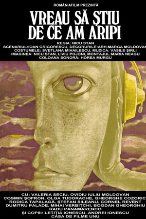 I Want to Know Why I Have Wings I Want to Know Why I Have Wings