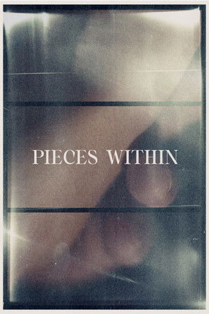 Pieces Within Pieces Within
