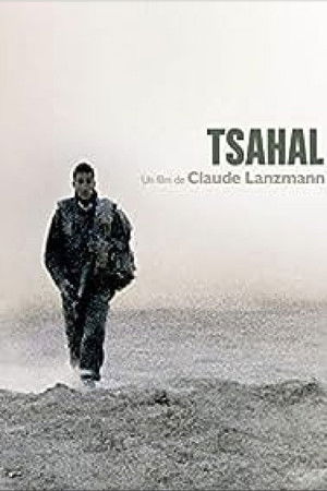 Lights And Shadows Lights And Shadows