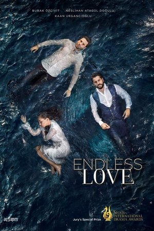Endless Love