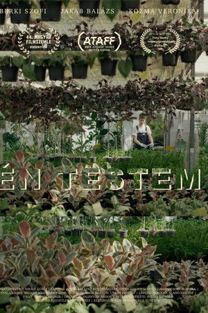 Én testem Én testem