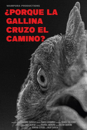 ¿Por qué la gallina cruzó el camino?