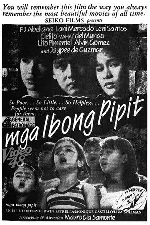 Mga Ibong Pipit Mga Ibong Pipit