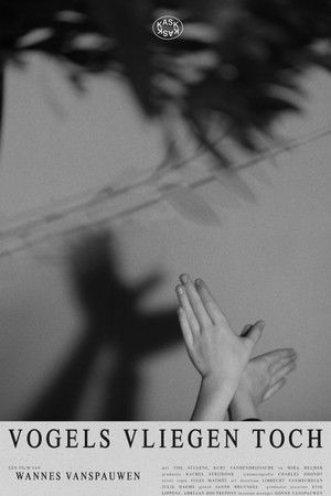 Vogels vliegen toch Vogels vliegen toch