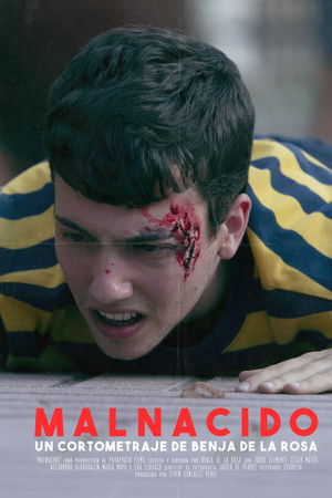 Malnacido Malnacido