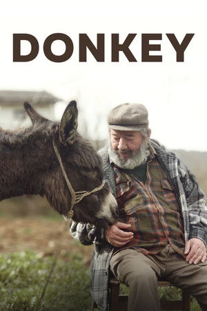 Donkey Donkey