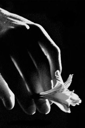 Son of the Preacher Son of the Preacher