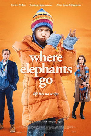 Where Elephants Go Where Elephants Go