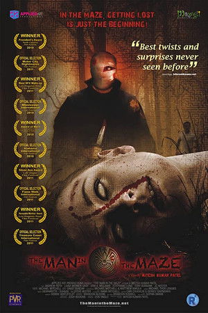 The Man in the Maze The Man in the Maze