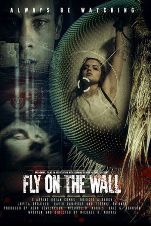 Fly on the Wall Fly on the Wall