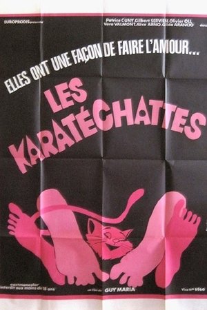 Les pornochattes Les pornochattes
