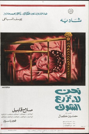 We Do Not Sow The Thistle We Do Not Sow The Thistle