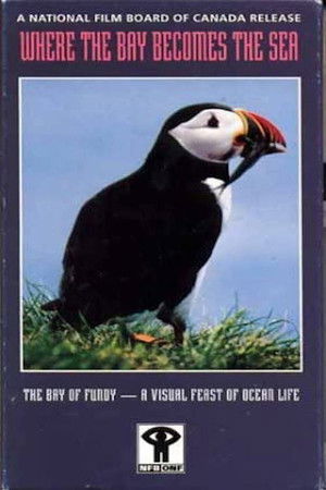 Where the Bay Becomes the Sea Where the Bay Becomes the Sea