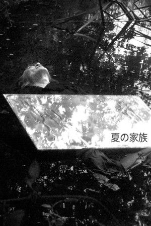 A Summer Family A Summer Family