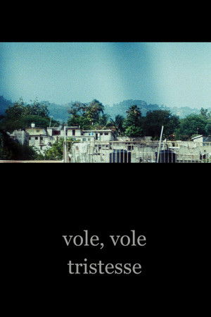 Fly, Fly Sadness Fly, Fly Sadness