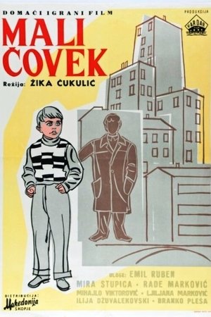 Little Man Little Man