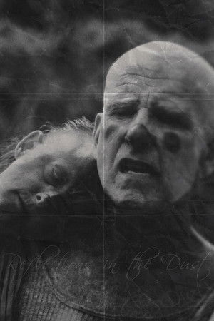 Reflections in the Dust Reflections in the Dust