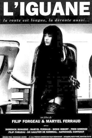 The Iguana The Iguana