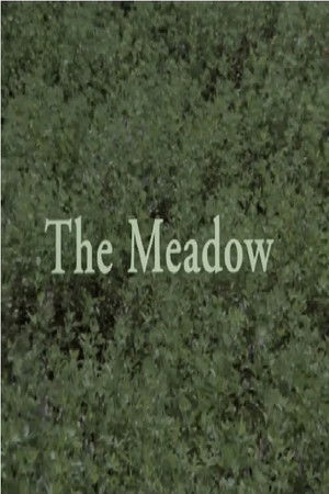 The Meadow The Meadow