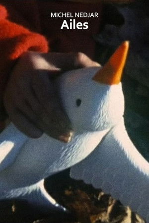 Ailes Ailes