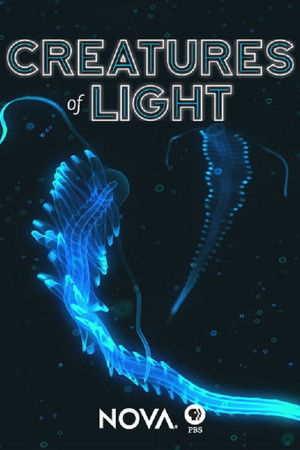 Creatures of Light Creatures of Light