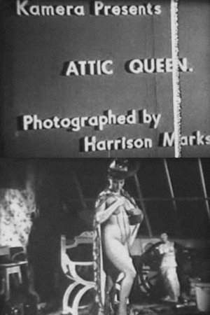 Attic Queen Attic Queen