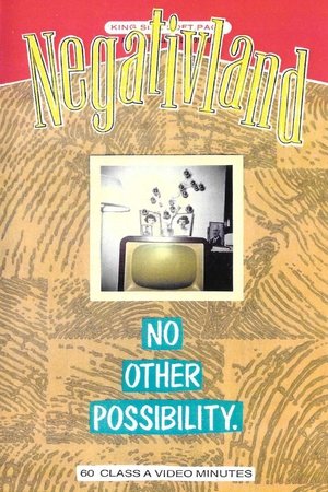 Negativland: No Other Possibility Negativland: No Other Possibility