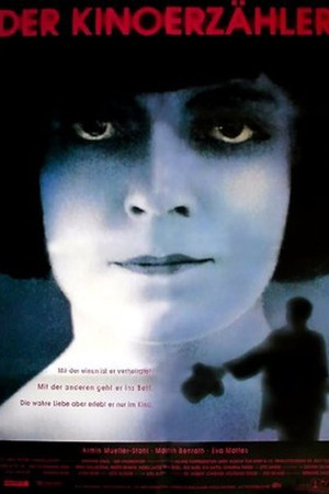 The Film Narrator The Film Narrator