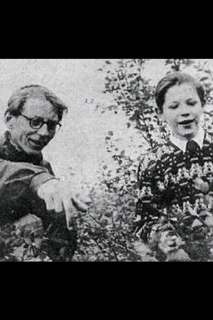 The Hillside Is Beautiful The Hillside Is Beautiful