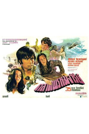 The Virgin Market The Virgin Market