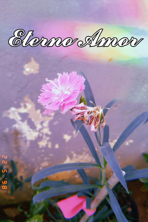 Eterno Amor ❤