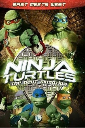 Ninja Turtles: The Next Mutation - East Meets West