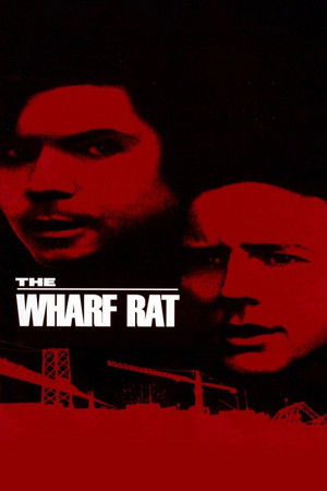 The Wharf Rat The Wharf Rat