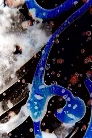 On the Road to Kandahar On the Road to Kandahar