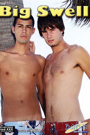 The Big Swell The Big Swell