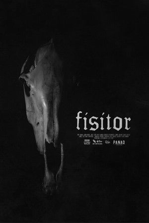 Fisitor Fisitor