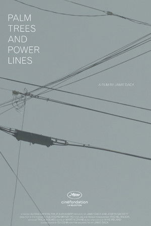 Palm Trees and Power Lines