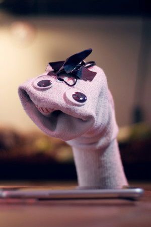 Le Sock Puppets Le Sock Puppets