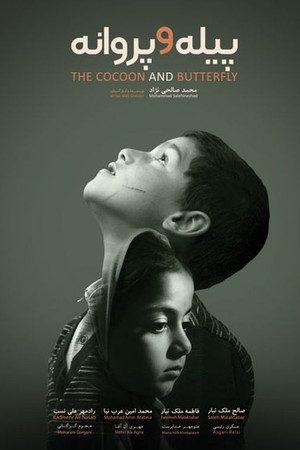 The Cocoon & Butterfly