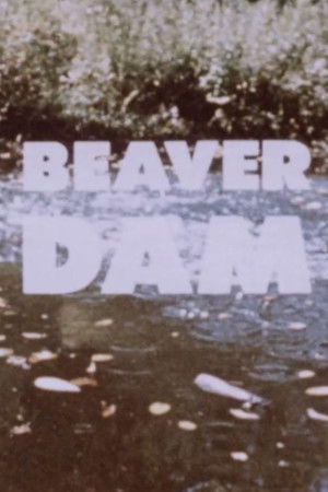 Beaver Dam Beaver Dam