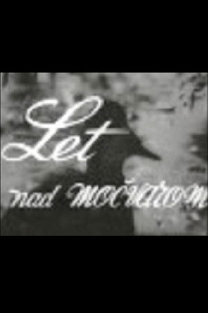 Flight Above the Marshes Flight Above the Marshes