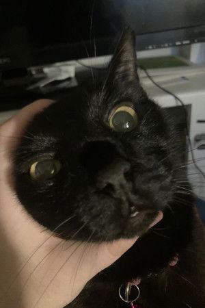 The Isle of the banished The Isle of the banished