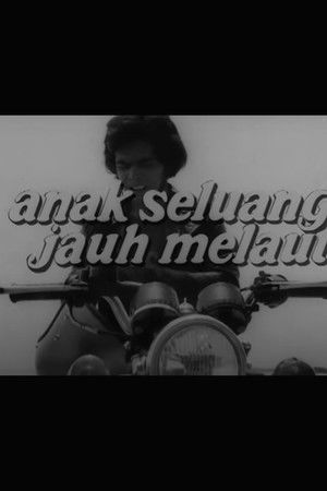 Anak Seluang Jauh Melaut