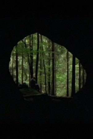 La Guitare de diamants La Guitare de diamants