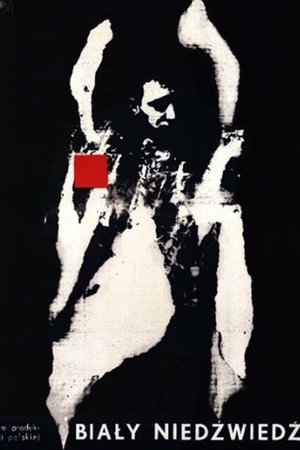 Polar Bear Polar Bear