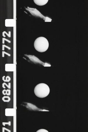 Self-Portrait or What We All Miss Self-Portrait or What We All Miss