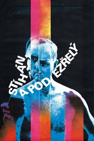 Chased and Suspected Chased and Suspected