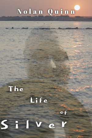 The Life of Silver The Life of Silver